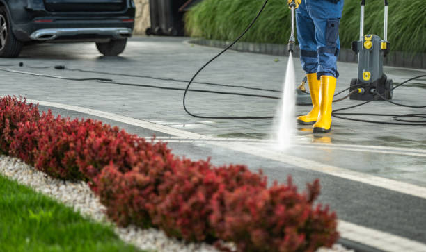 Best Roof Power Washing Services  in Bronxville, NY